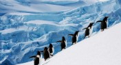 Antarctic Circle